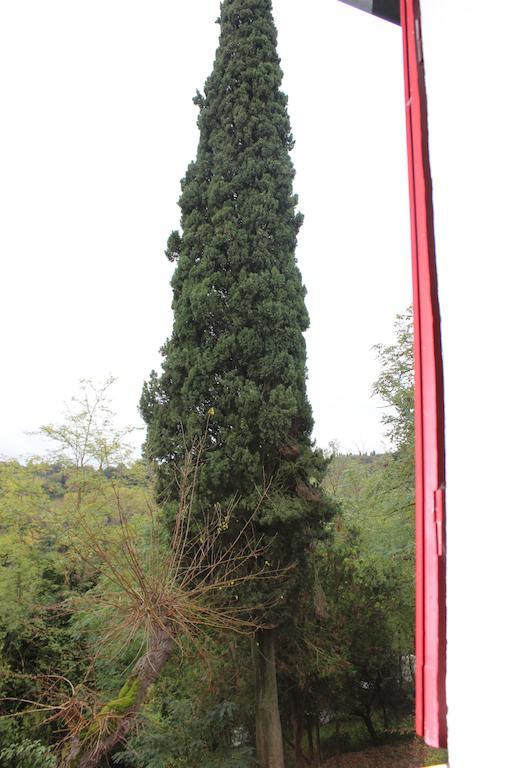 Il Vecchio Cipresso San Gimignano Exterior foto